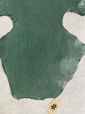 画像4: ケープシール　グリーン　オットセイ革 (4)