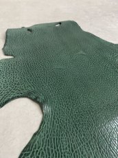 画像5: ケープシール　グリーン　オットセイ革 (5)