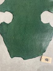 画像4: ケープシール　グリーン　オットセイ革 (4)