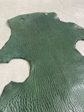 画像5: ケープシール　グリーン　オットセイ革 (5)
