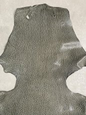 画像3: ケープシール　グレー　オットセイ革 (3)