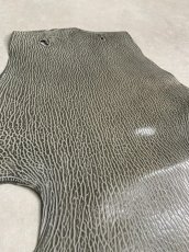 画像5: ケープシール　グレー　オットセイ革 (5)