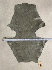 画像8: ケープシール　グレー　オットセイ革 (8)