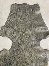 画像3: ケープシール　グレー　オットセイ革 (3)