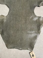 画像4: ケープシール　グレー　オットセイ革 (4)