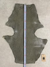 画像7: ケープシール　グレー　オットセイ革 (7)