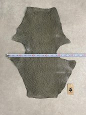 画像8: ケープシール　グレー　オットセイ革 (8)