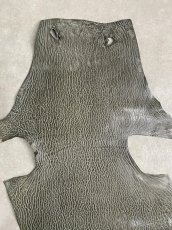 画像3: ケープシール　グレー　オットセイ革 (3)