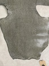 画像4: ケープシール　グレー　オットセイ革 (4)