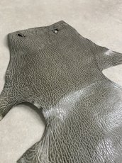 画像5: ケープシール　グレー　オットセイ革 (5)