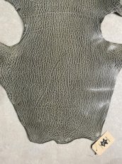 画像4: ケープシール　グレー　オットセイ革 (4)
