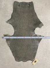 画像8: ケープシール　グレー　オットセイ革 (8)