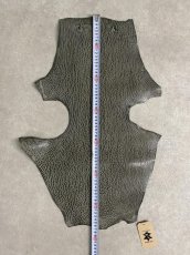 画像7: ケープシール　グレー　オットセイ革 (7)