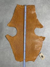 画像6: ケープシール　キャメル　オットセイ革 (6)