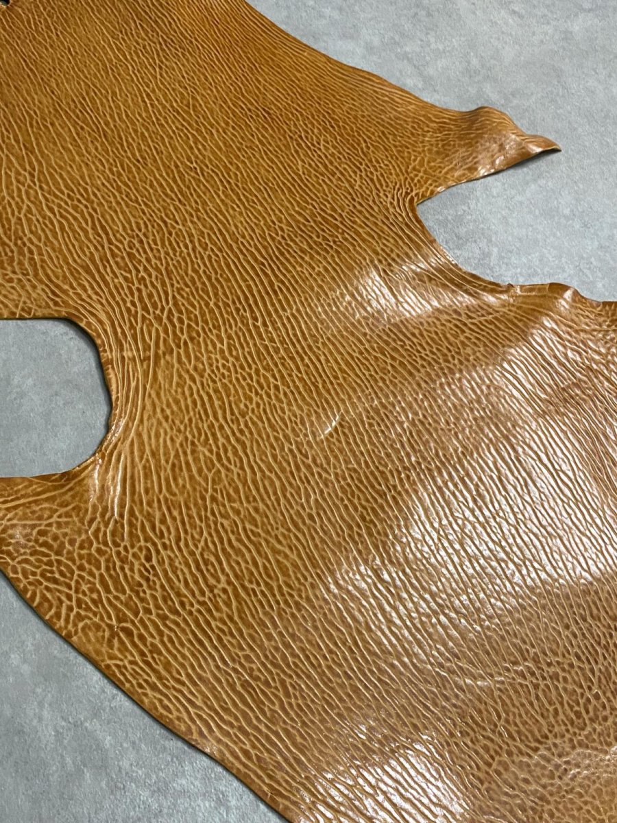 画像5: ケープシール　キャメル　オットセイ革 (5)
