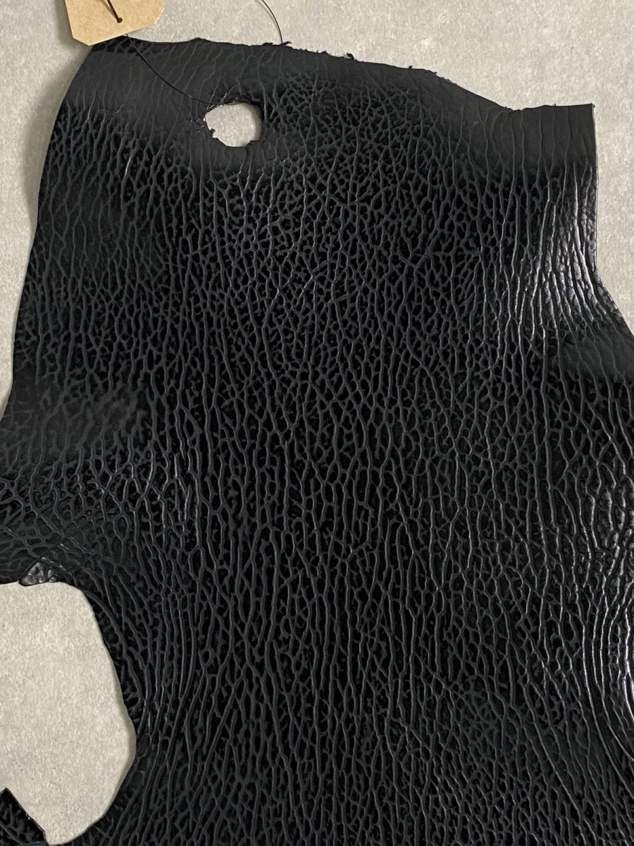 画像4: ケープシール　ブラック　オットセイ革　シールスキン (4)