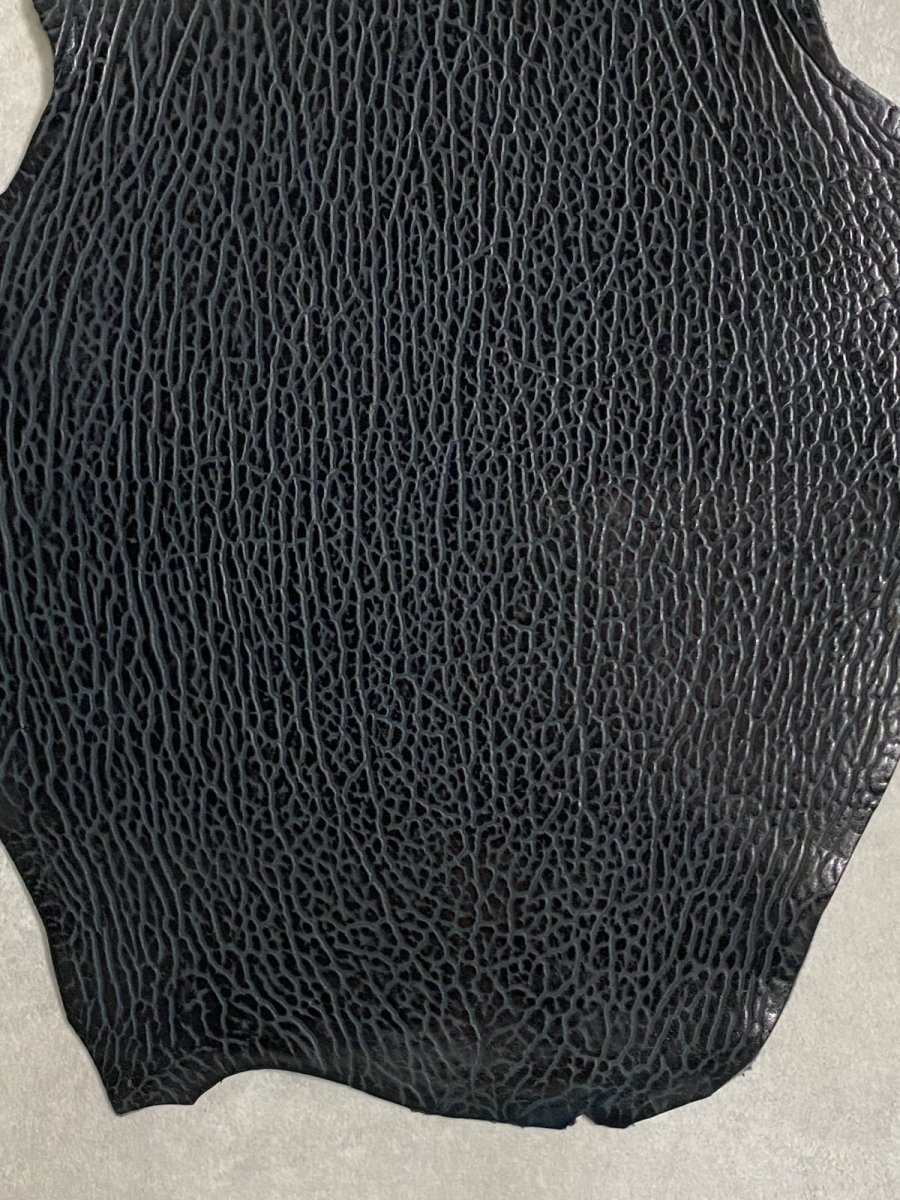 画像5: ケープシール　ブラック　オットセイ革　シールスキン (5)