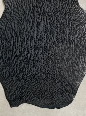 画像5: ケープシール　ブラック　オットセイ革　シールスキン (5)
