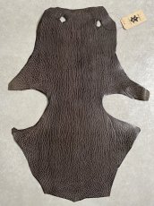 画像1: ケープシール　ニコチン　オットセイ革　シールスキン　エキゾチックレザー (1)
