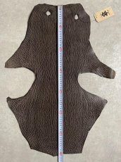 画像7: ケープシール　ニコチン　オットセイ革　シールスキン　エキゾチックレザー (7)