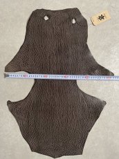 画像8: ケープシール　ニコチン　オットセイ革　シールスキン　エキゾチックレザー (8)