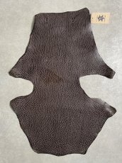 画像1: ケープシール　ニコチン　オットセイ革　シールスキン　エキゾチックレザー (1)