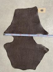 画像7: ケープシール　ニコチン　オットセイ革　シールスキン　エキゾチックレザー (7)