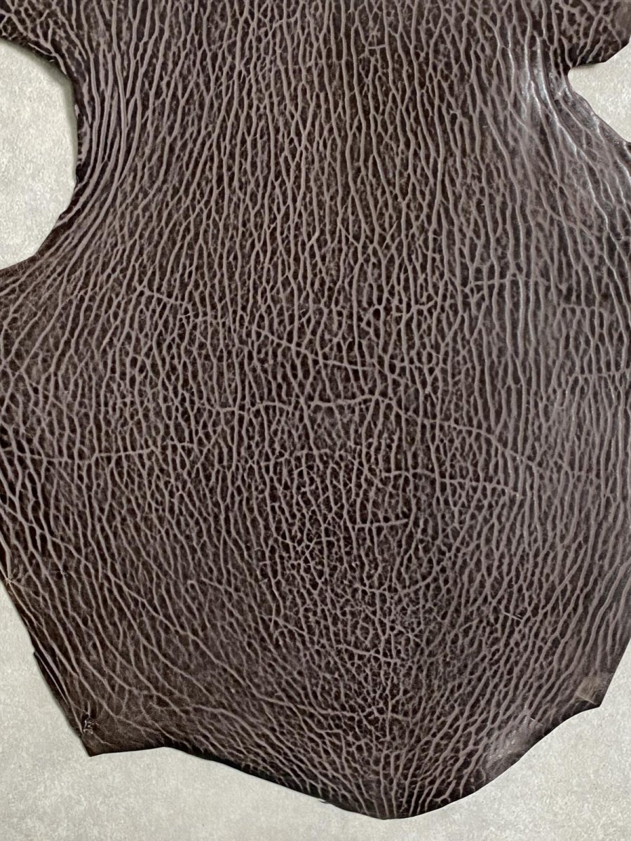 画像3: ケープシール　ニコチン　オットセイ革　シールスキン　エキゾチックレザー (3)