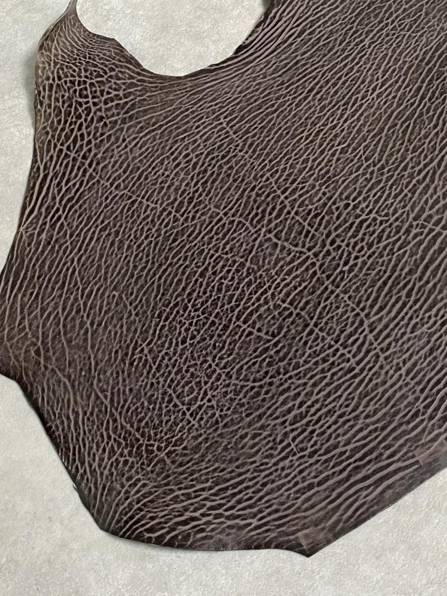 画像5: ケープシール　ニコチン　オットセイ革　シールスキン　エキゾチックレザー (5)