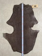 画像6: ケープシール　ニコチン　オットセイ革　シールスキン　エキゾチックレザー (6)
