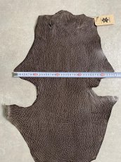 画像7: ケープシール　ニコチン　オットセイ革　シールスキン　エキゾチックレザー (7)