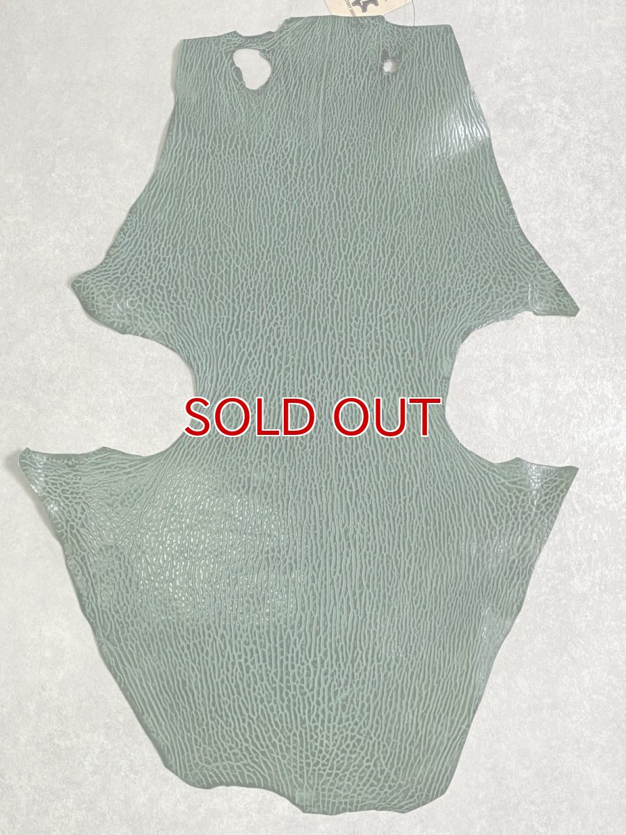 画像1: ケープシール　グリーン　オットセイ革 (1)