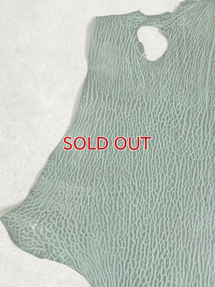 画像2: ケープシール　グリーン　オットセイ革 (2)