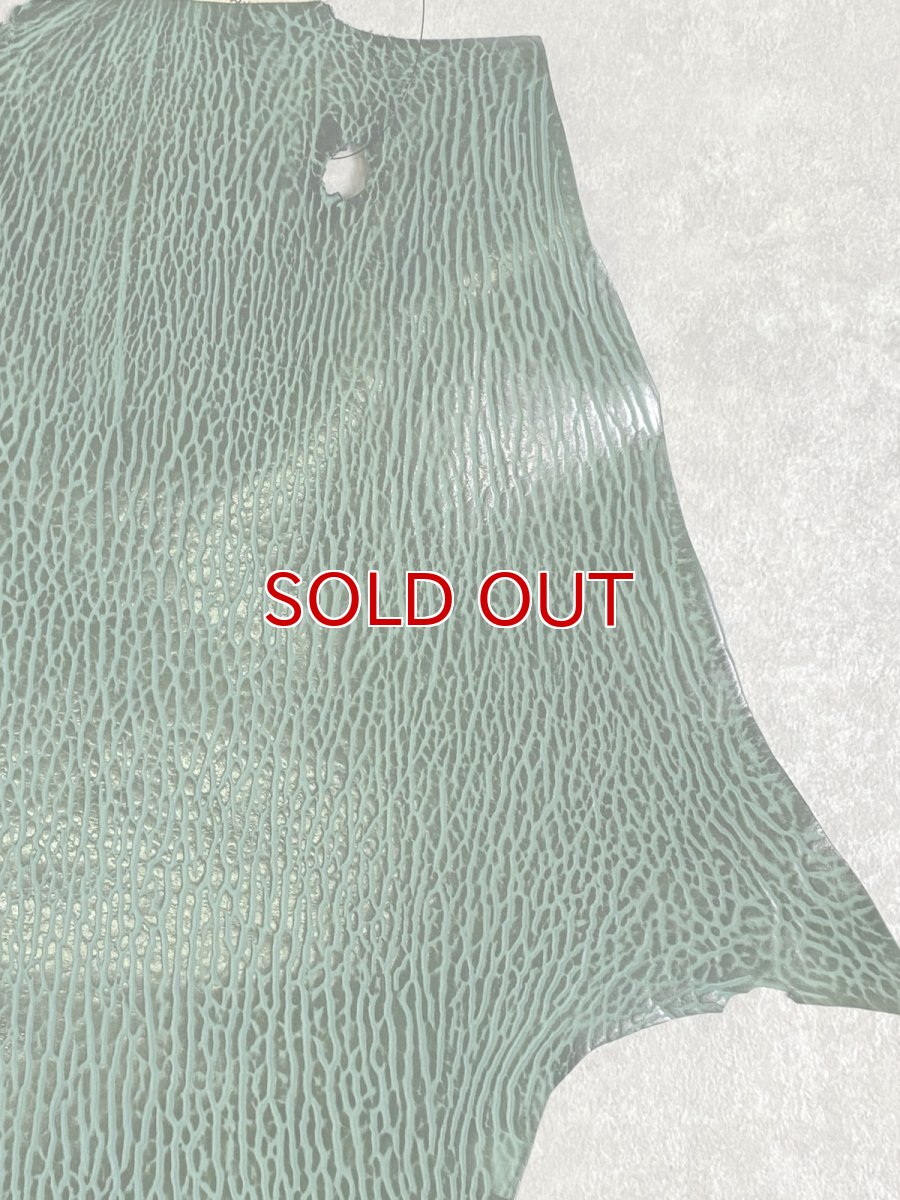 画像3: ケープシール　グリーン　オットセイ革 (3)