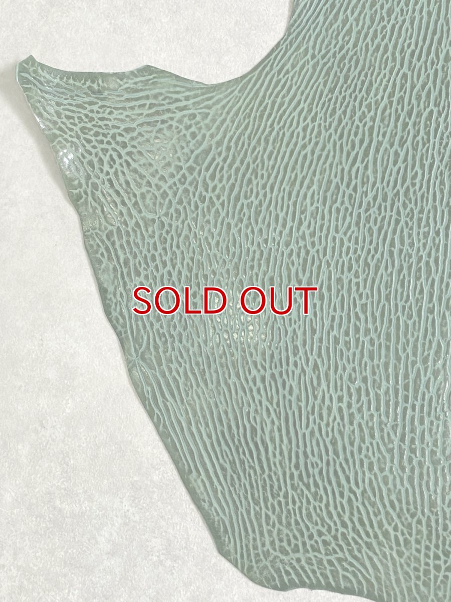 画像5: ケープシール　グリーン　オットセイ革 (5)