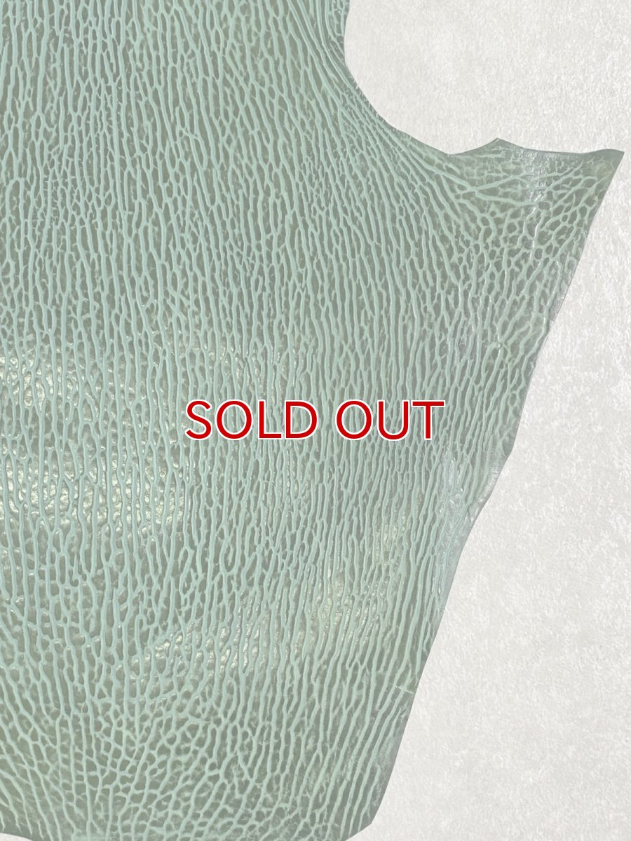 画像6: ケープシール　グリーン　オットセイ革 (6)