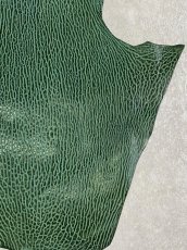 画像6: ケープシール　グリーン　オットセイ革 (6)