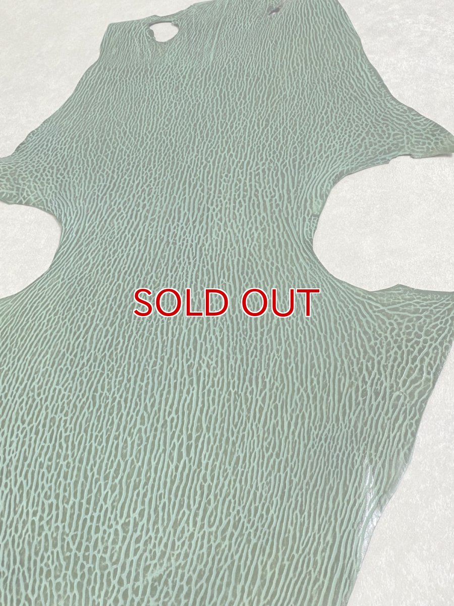 画像7: ケープシール　グリーン　オットセイ革 (7)