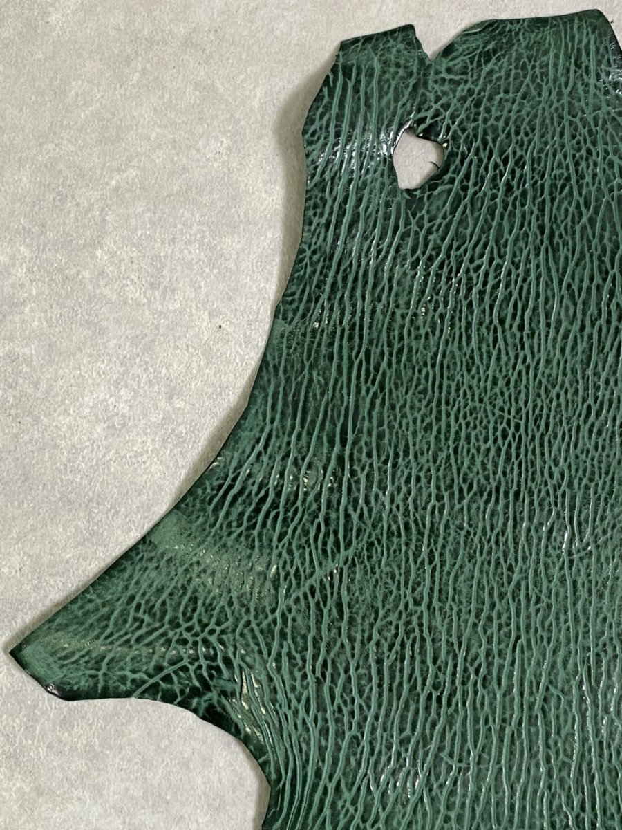 画像2: ケープシール　グリーン　オットセイ革 (2)