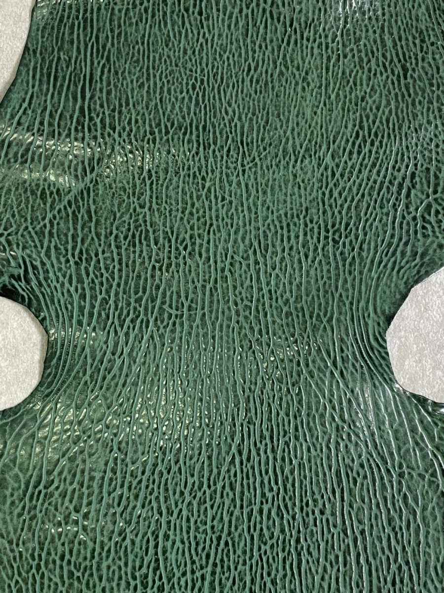 画像4: ケープシール　グリーン　オットセイ革 (4)