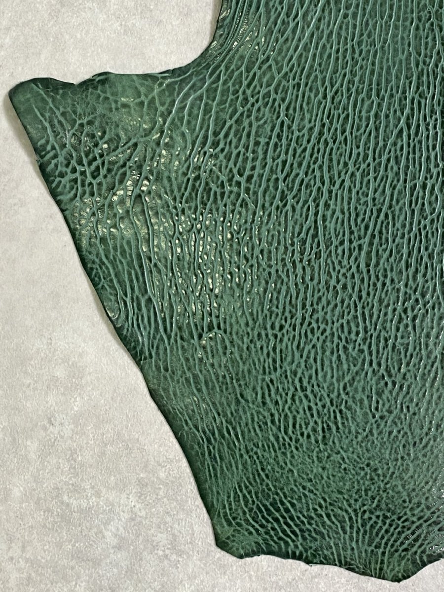画像5: ケープシール　グリーン　オットセイ革 (5)