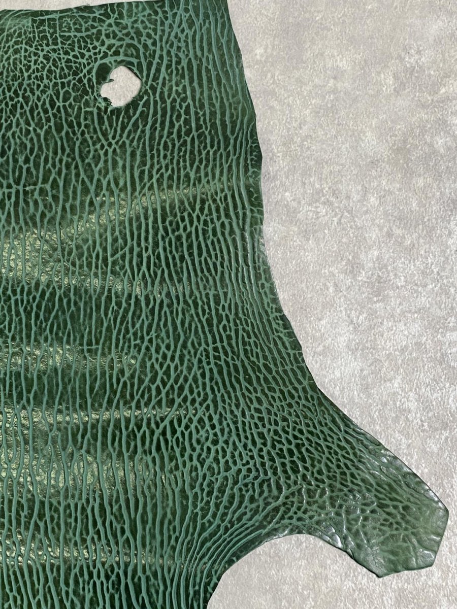 画像3: ケープシール　グリーン　オットセイ革 (3)