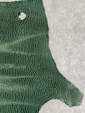 画像3: ケープシール　グリーン　オットセイ革 (3)