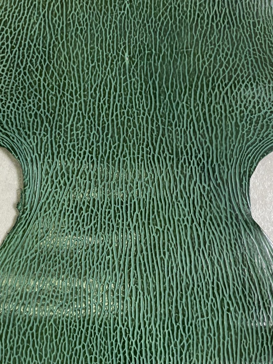 画像4: ケープシール　グリーン　オットセイ革 (4)