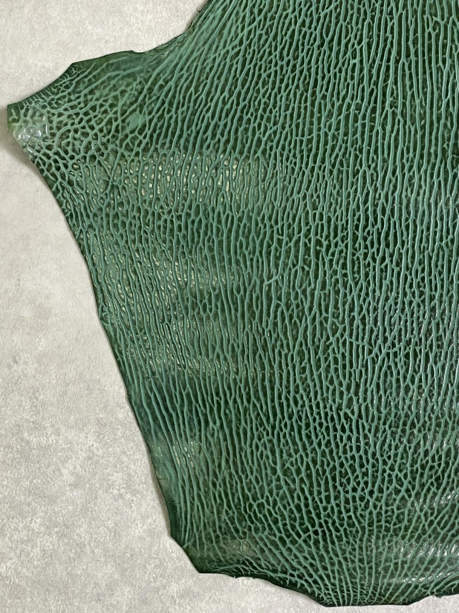 画像5: ケープシール　グリーン　オットセイ革 (5)