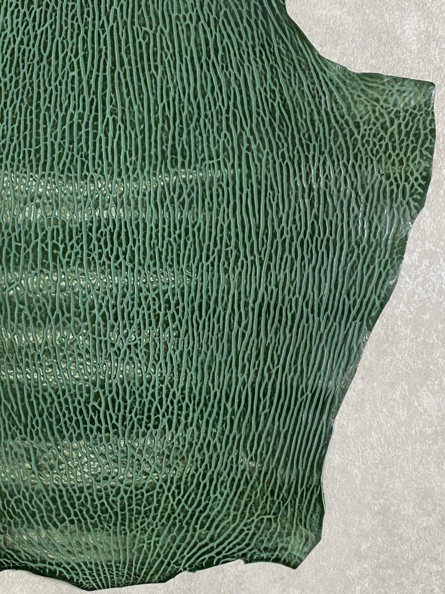 画像6: ケープシール　グリーン　オットセイ革 (6)