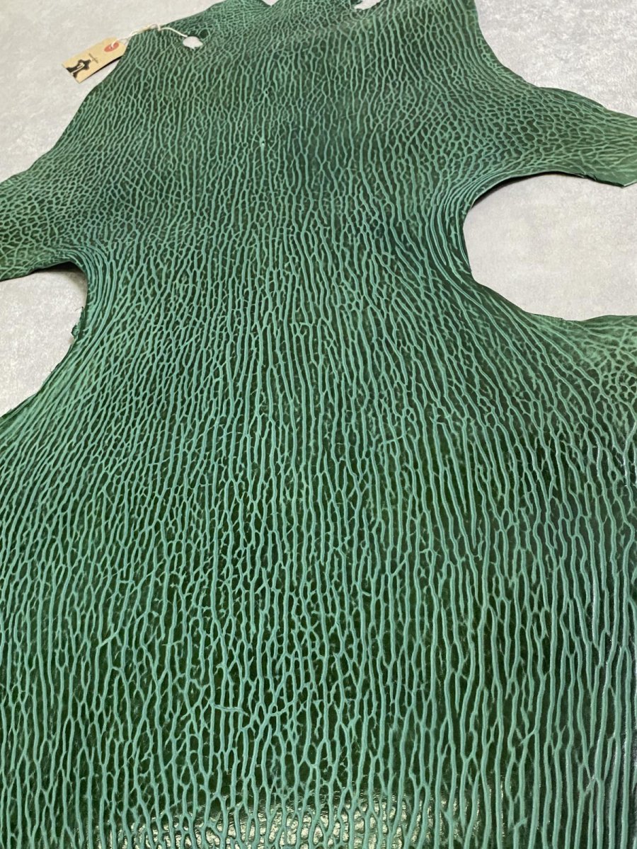 画像7: ケープシール　グリーン　オットセイ革 (7)