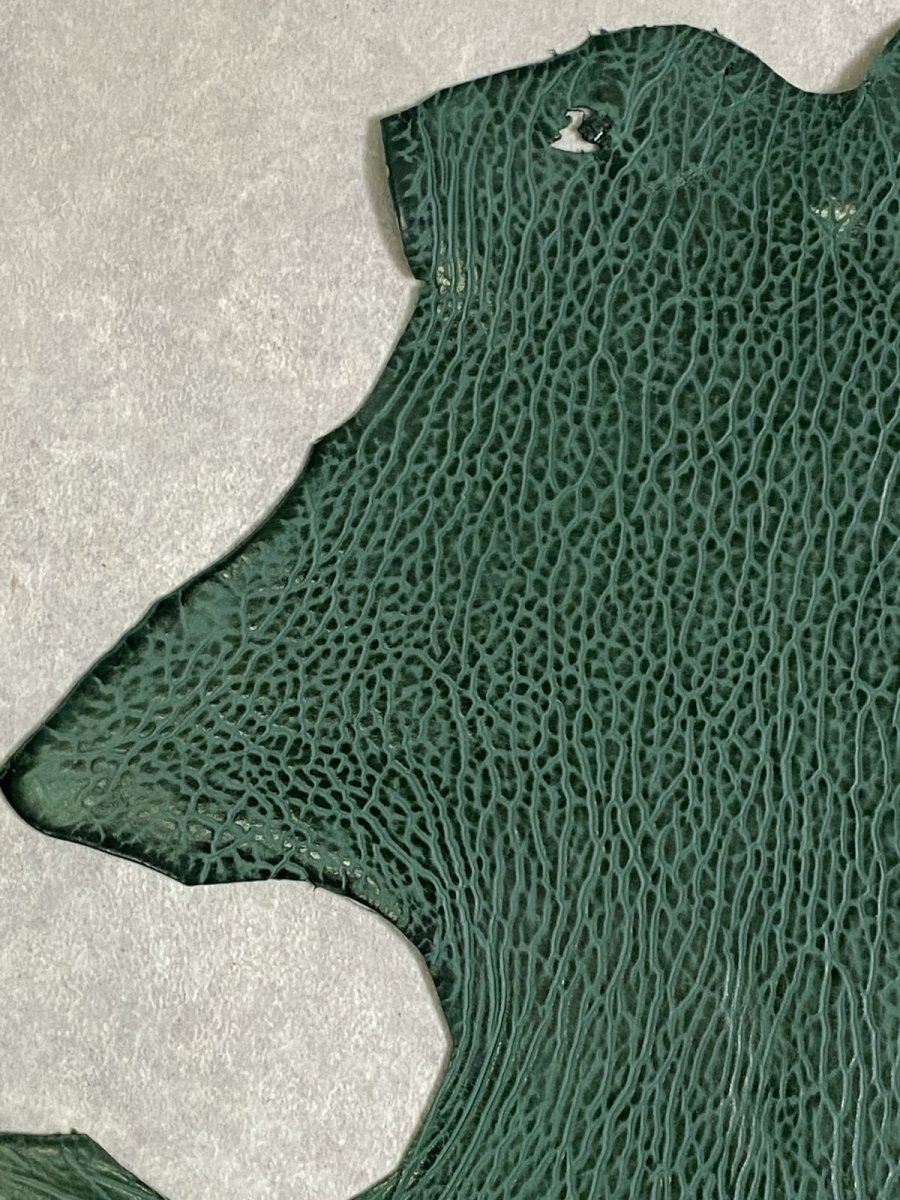 画像2: ケープシール　グリーン　オットセイ革 (2)