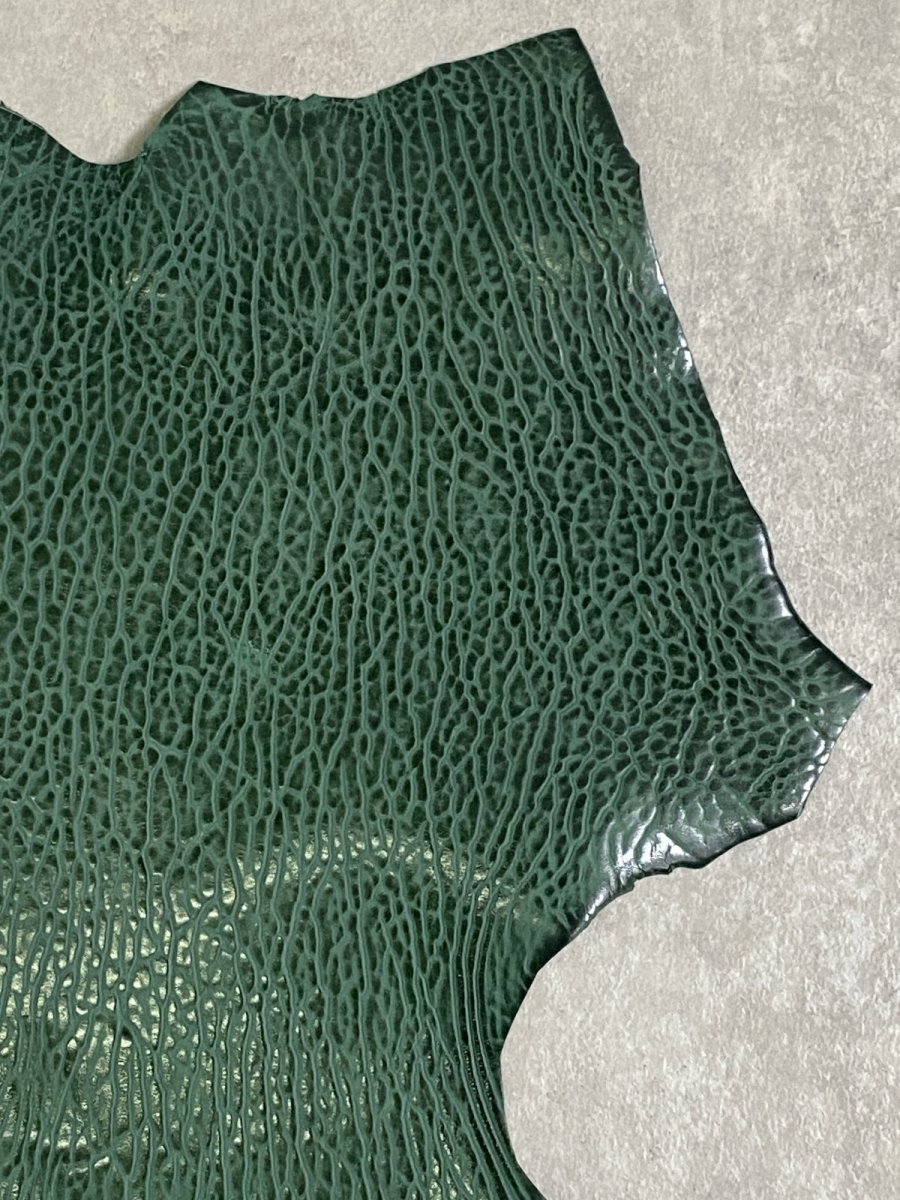 画像3: ケープシール　グリーン　オットセイ革 (3)