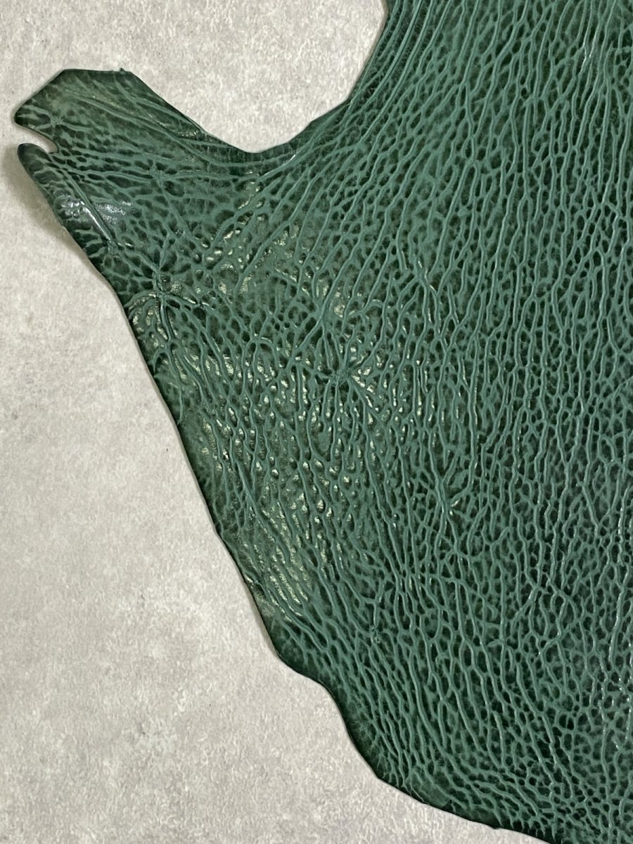 画像4: ケープシール　グリーン　オットセイ革 (4)